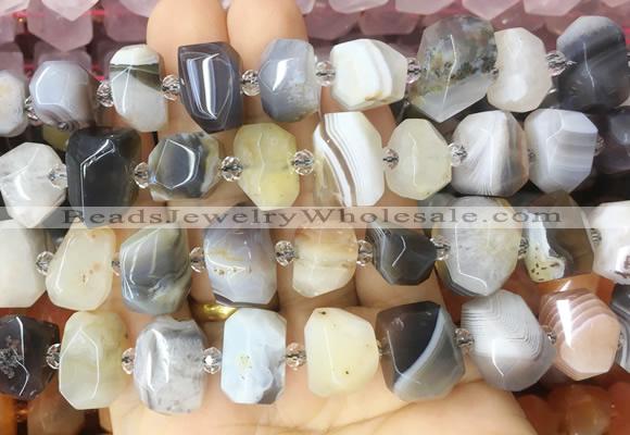 AGBS235 15 inches 12*16mm - 13*18mm faceted nuggets botswana agate beads