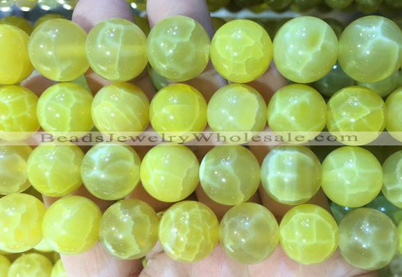 AGBS322 15 inches 14mm round yellow dragon veins agate beads wholesale