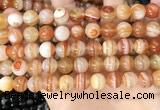 CAA4952 15.5 inches 10mm round Madagascar agate beads wholesale