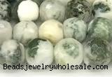 CAA5800 15 inches 6mm faceted round tree agate beads