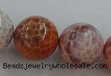 CAG5567 15.5 inches 18mm round natural fire agate beads wholesale