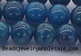 CAP363 15.5 inches 10mm round apatite gemstone beads wholesale