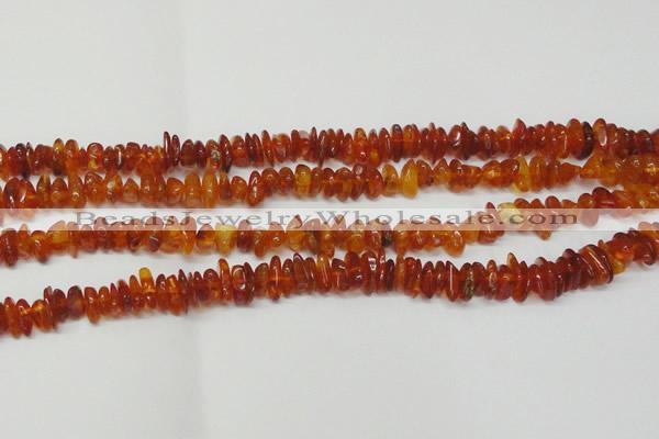 CAR115 16 inches 3*6mm - 4*8mm natural amber chips beads