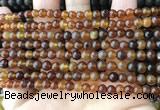 CAR215 15.5 inches 5mm round natural amber beads wholesale