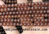 CAR231 15.5 inches 5mm - 5.5mm round natural amber beads wholesale