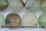 CAU552 15 inches 10mm round Australia chrysoprase beads