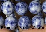 CBS603 15.5 inches 10mm round blue spot stone beads wholesale