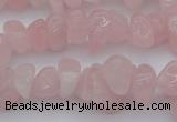 CCH654 15.5 inches 8*12mm - 10*14mm rose quartz chips beads