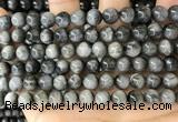CEE542 15.5 inches 8mm round eagle eye jasper gemstone beads