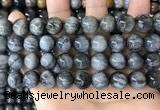 CEE544 15.5 inches 12mm round eagle eye jasper gemstone beads