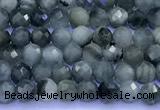 CEE561 15 inches 3mm faceted round eagle eye jasper beads