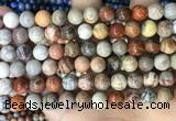 CFC342 15.5 inches 8mm round red fossil coral beads wholesale