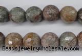 CGG15 15.5 inches 12mm faceted round ghost gemstone beads wholesale