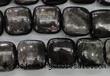 CHS82 15.5 inches 14*14mm square natural hypersthene beads