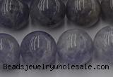 CIL104 15.5 inches 12mm round iolite gemstone beads wholesale