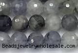 CIL137 15 inches 6mm faceted round iolite beads