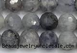 CIL138 15 inches 8mm faceted round iolite beads
