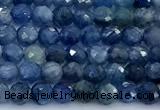 CKC838 15 inches 3mm faceted round blue kyanite beads