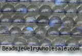 CLB1185 15 inches 4mm round labradorite gemstone beads