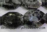 CLB325 15.5 inches 20*25mm octagonal black labradorite beads