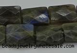 CLB963 15.5 inches 15*20mm faceted rectangle labradorite beads