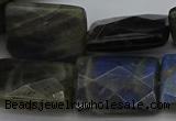 CLB965 15.5 inches 20*30mm faceted rectangle labradorite beads