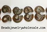 CMM10 15.5 inches 30*40mm - 35*45mm carved ammonite gemstone beads
