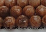 CMS1015 15.5 inches 12mm faceted round AA grade moonstone beads