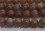 CMS1021 15.5 inches 6mm round AA grade moonstone gemstone beads