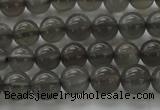 CMS1071 15.5 inches 6mm round grey moonstone beads wholesale