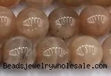 CMS2112 15 inches 9mm round moonstone beads