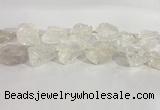 CNG3558 15.5 inches 18*20mm - 25*30mm nuggets rough white crystal beads