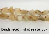 CNG3563 15.5 inches 18*20mm - 25*30mm nuggets rough citrine beads CNG3563 15.5 inches 18*20mm - 25*30mm nuggets rough citrine beads