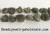 CNG3567 15.5 inches 18*20mm - 25*30mm nuggets rough labradorite beads CNG3567 15.5 inches 18*20mm - 25*30mm nuggets rough labradorite beads