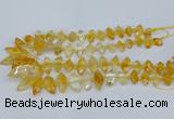 CNG5825 15.5 inches 8*18mm - 13*30mm freeform citrine beads