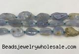 CNG6950 15.5 inches 18*20mm - 22*30mm freeform blue chalcedony beads