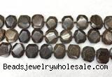 CNG7568 15.5 inches 18*25mm - 20*28mm faceted freeform bronzite beads