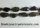 CNG7955 15.5 inches 15*25mm - 20*40mm nuggets smoky quartz beads