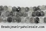 CNG8612 10*13mm - 12*16mm faceted freeform cloudy quartz beads