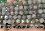 CNG8717 15.5 inches 10mm faceted nuggets labradorite gemstone beads