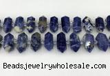 CNG8903 10*25mm - 14*30mm faceted nuggets sodalite beads CNG8903 10*25mm - 14*30mm faceted nuggets sodalite beads
