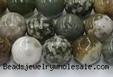 COS307 15.5 inches 8mm round ocean jasper beads wholesale