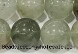 CPC682 15.5 inches 10mm round chorite green phantom beads