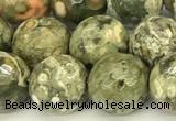 CRH581 15 inches 8mm faceted round rhyolite beads wholesale