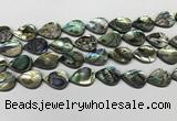 CSB4138 15.5 inches 13*18mm flat teardrop abalone shell beads