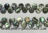 CSB4184 Top drilled 15*20mm flat teardrop balone shell beads