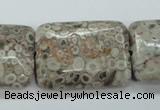 CSF10 15.5 inches 22*30mm rectangle shell fossil jasper beads