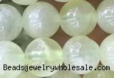 CSJ312 15.5 inches 7mm round serpentine new jade beads