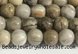 CSL150 15.5 inches 4mm round 

sliver leaf jasper beads wholesale