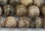 CSS841 15 inches 8mm round sunstone gemstone beads